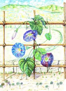 大人の塗り絵コンテスト20120.jpg
