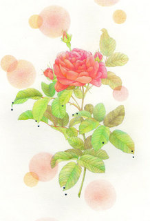 大人の塗り絵GP.jpg